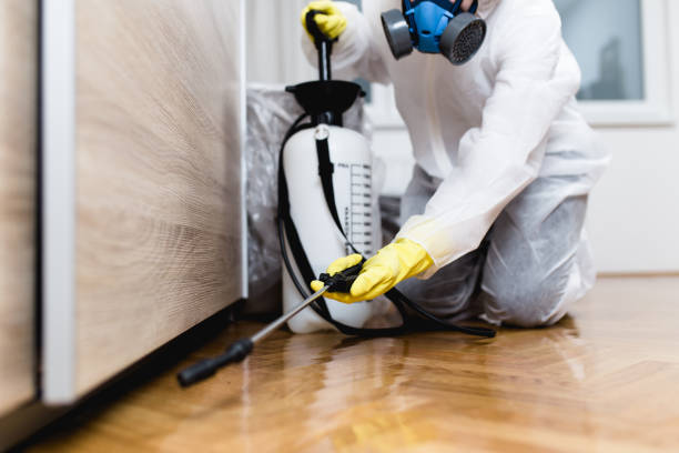 Best Residential Pest Control  in Ludowici, GA
