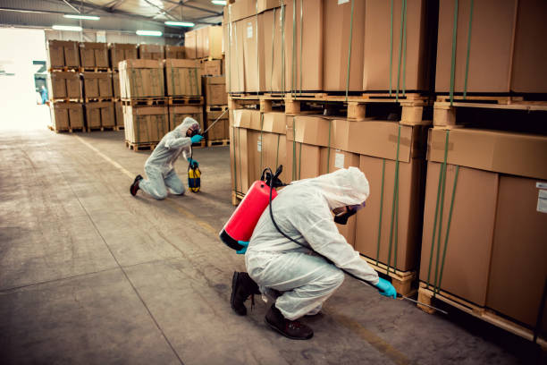 Best Cockroach Control Services  in Ludowici, GA