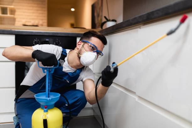 Best Best Pest Control Companies  in Ludowici, GA
