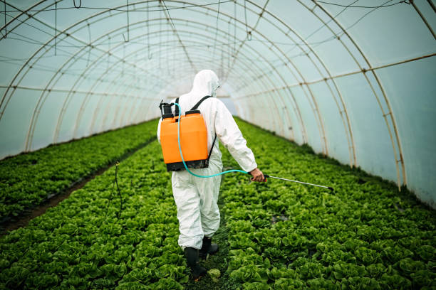 Best Best Pest Control Companies  in Ludowici, GA