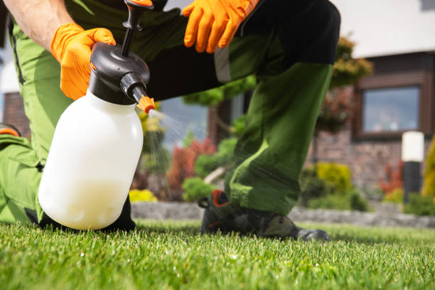 Best Pest Control Near Me  in Ludowici, GA