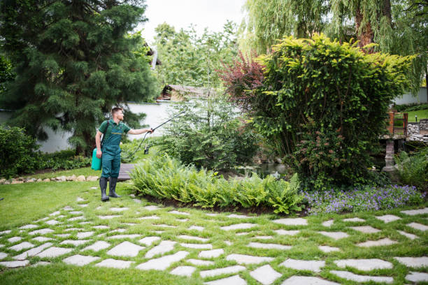 Best Pest Removal Services  in Ludowici, GA