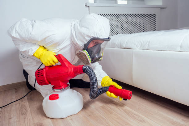 Best Best Pest Control Companies  in Ludowici, GA