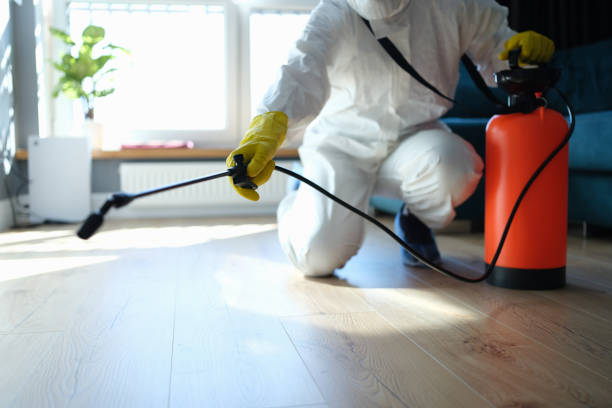 Best Mosquito Control Services  in Ludowici, GA