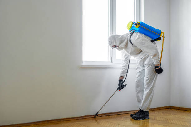 Best Wasp Removal Services  in Ludowici, GA