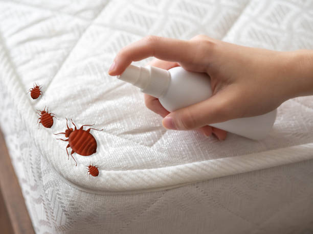 Best Pest Inspection Near Me  in Ludowici, GA