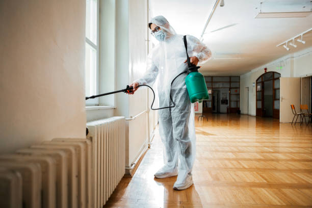 Best Pest Inspection Near Me  in Ludowici, GA