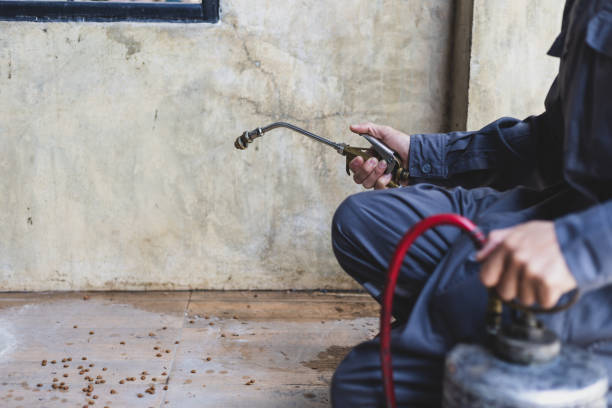 Best Emergency Pest Control  in Ludowici, GA